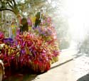 KREWE_OF_MID-CITY_2007_PARADE_0159