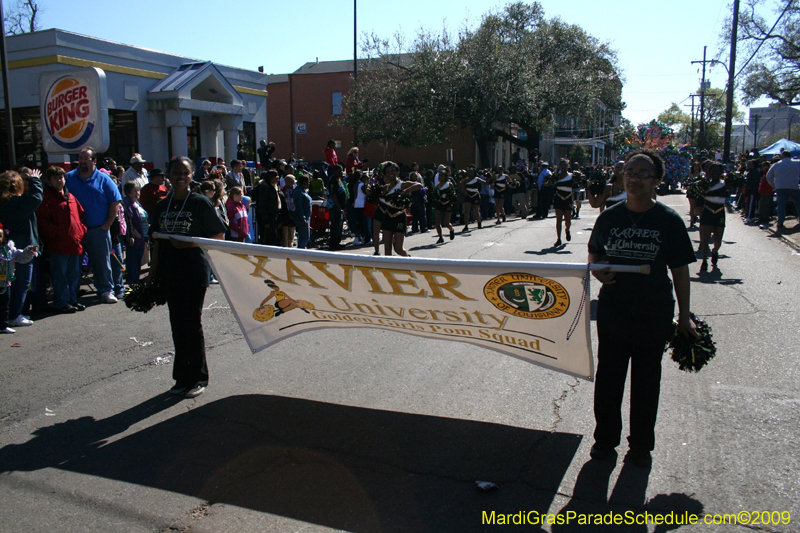 2009-Krewe-of-Mid-City-presents-Parrotheads-in-Paradise-Mardi-Gras-New-Orleans-0295