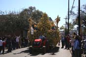 2009-Krewe-of-Mid-City-presents-Parrotheads-in-Paradise-Mardi-Gras-New-Orleans-0285