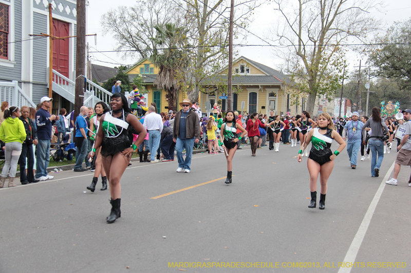 Krewe-of-MidCity-2013-1228