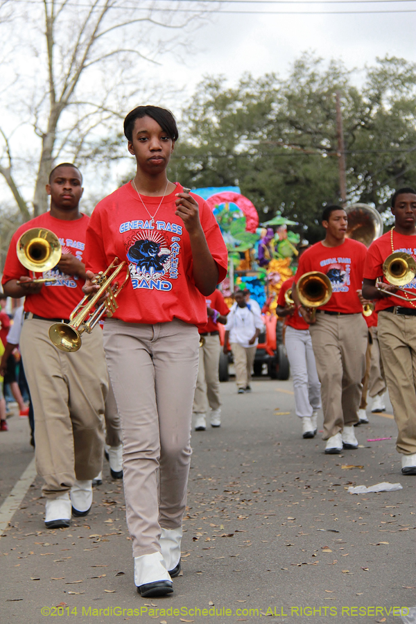 2014-Krewe-of-Mid-City-11196