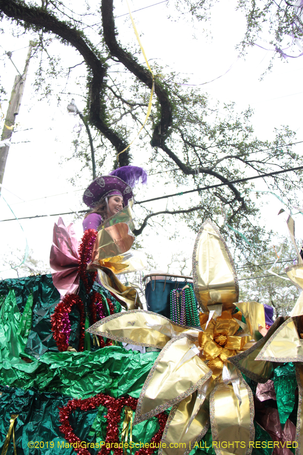 Krewe-of-Mid-City-2019-008123