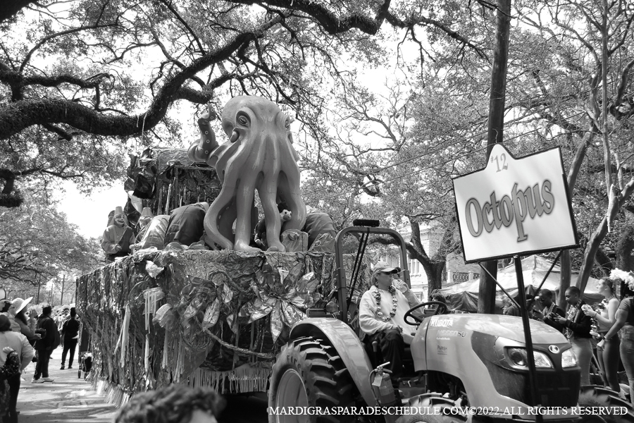 Krewe-of-Mid-City-00074-2022