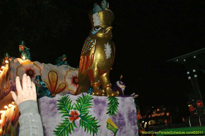 Krewe-of-Morpheus-2011-0140