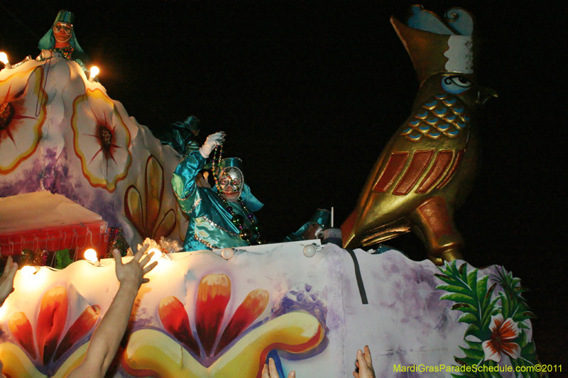 Krewe-of-Morpheus-2011-0141