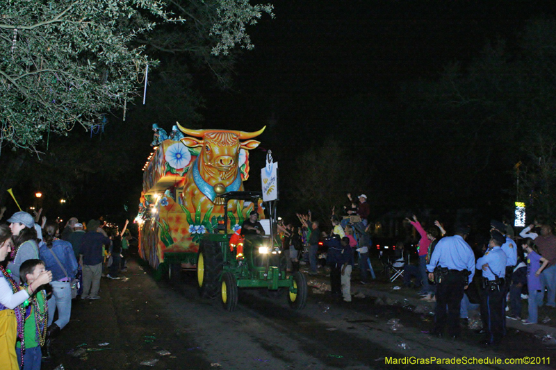 Krewe-of-Morpheus-2011-0196