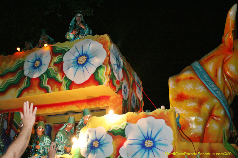 Krewe-of-Morpheus-2011-0198