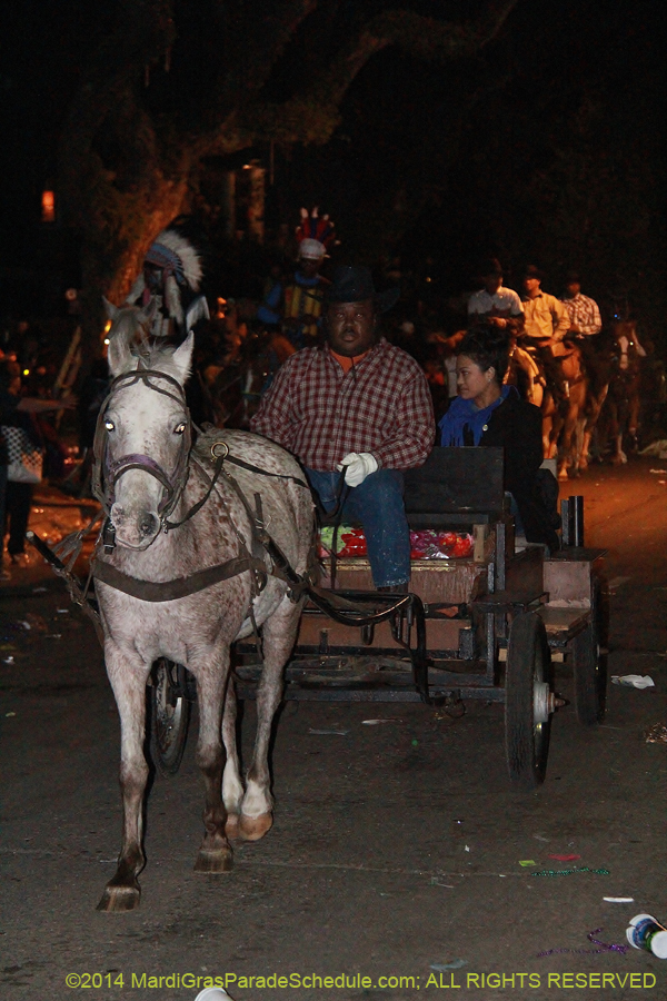 2014-Krewe-of-Morpheus-11198