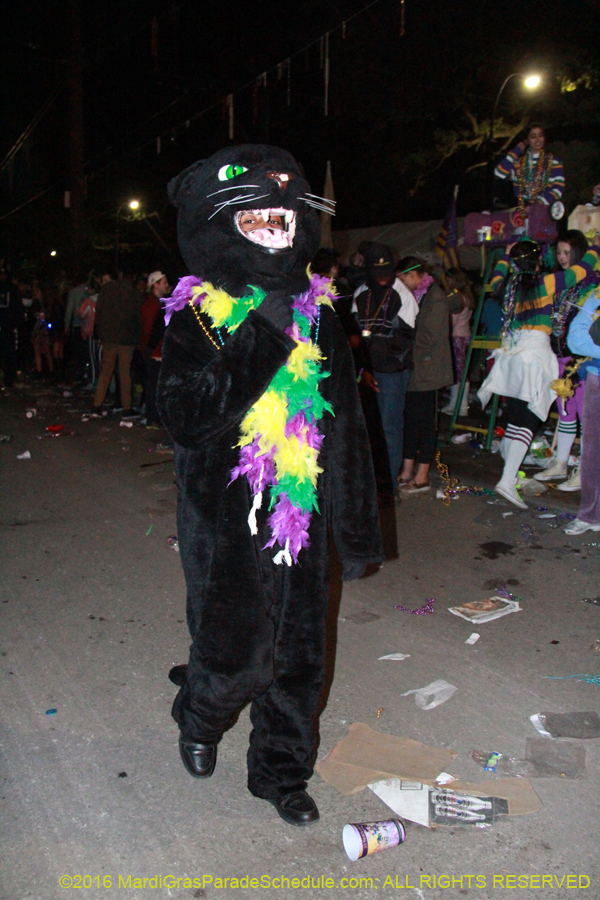 2016-le-Krewe-of-Morpheus-009030