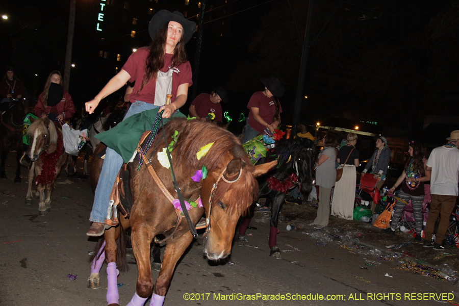 krewe-of-Morpheus-2017-07838