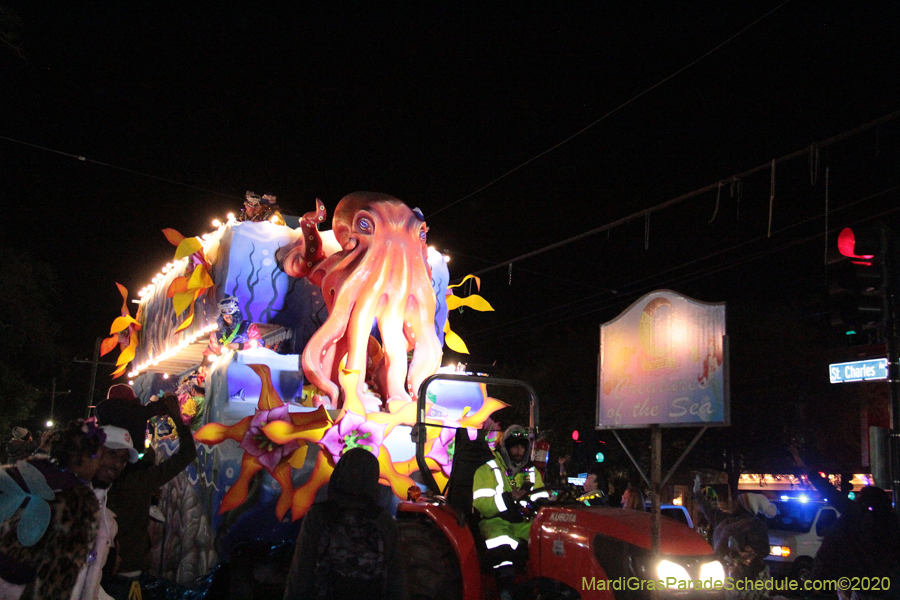 Krewe-of-Morpheus-2020-05857