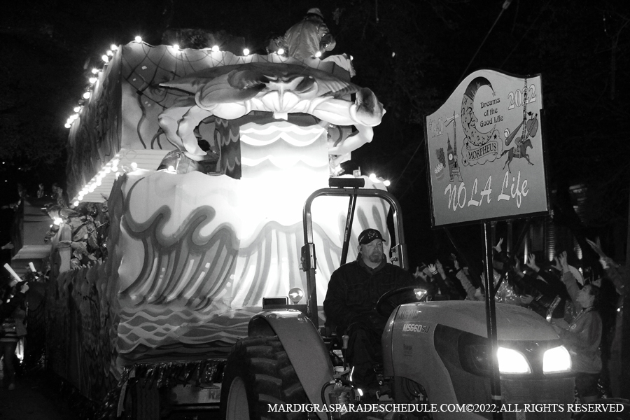 Krewe-of-Morpheus-00147-2022