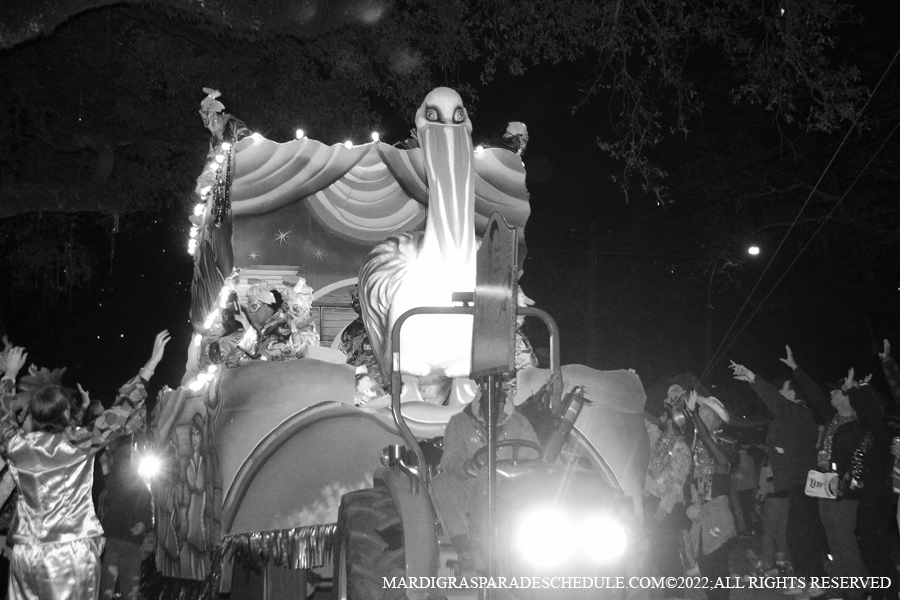 Krewe-of-Morpheus-00176-2022