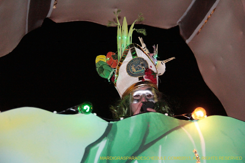 Krewe-of-Muses-2013-1197