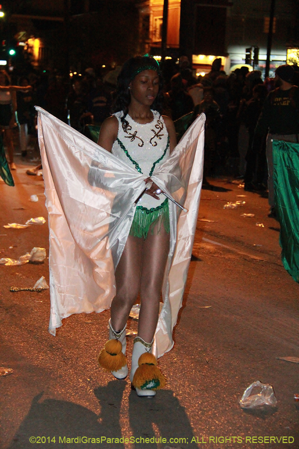 2014-Krewe-of-Muses11206