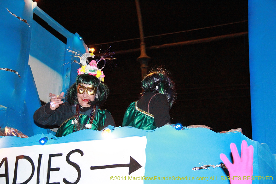 2014-Krewe-of-Muses11223