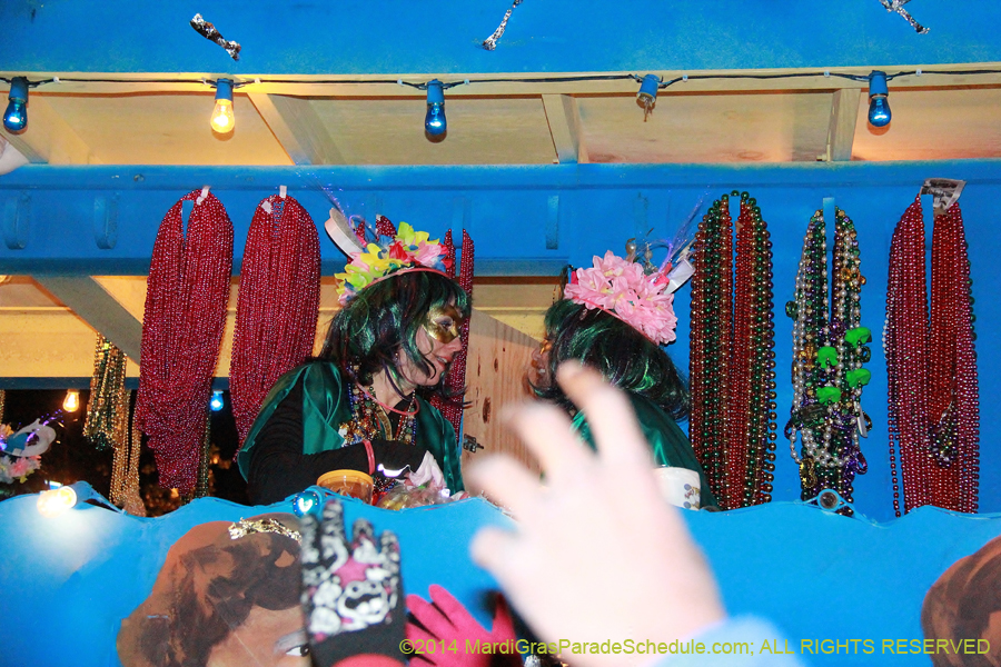 2014-Krewe-of-Muses11226