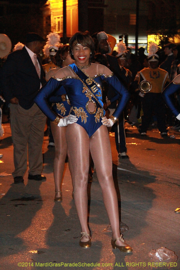 2014-Krewe-of-Muses11252