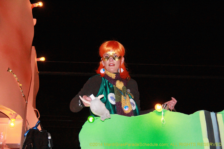 2014-Krewe-of-Muses11264