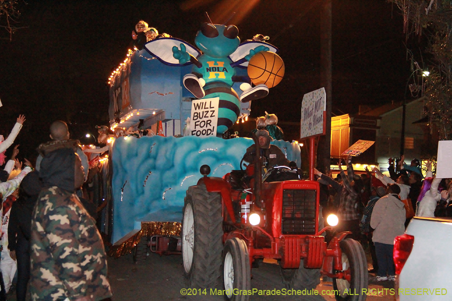 2014-Krewe-of-Muses11279