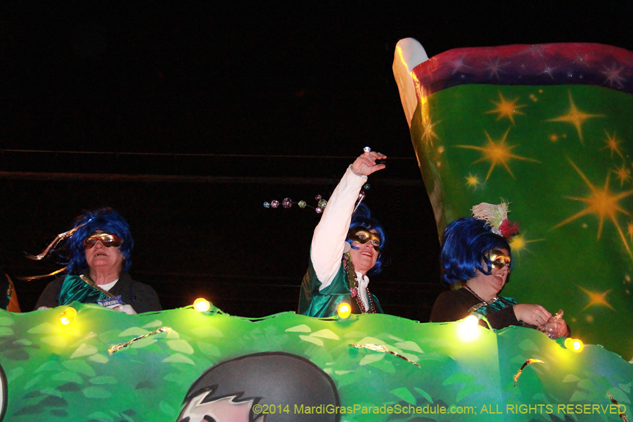 2014-Krewe-of-Muses11294