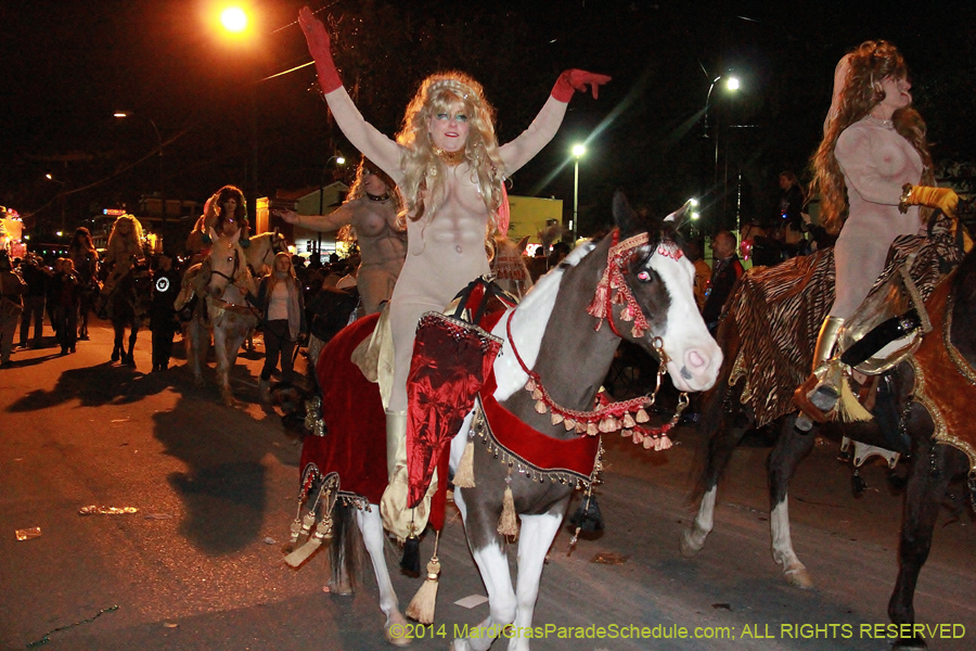 2014-Krewe-of-Muses11313