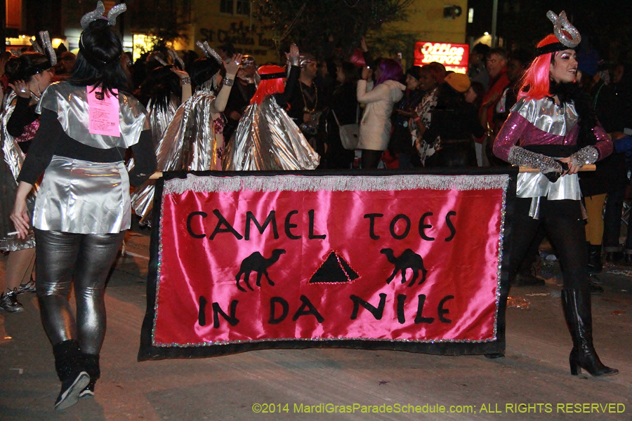 2014-Krewe-of-Muses11327