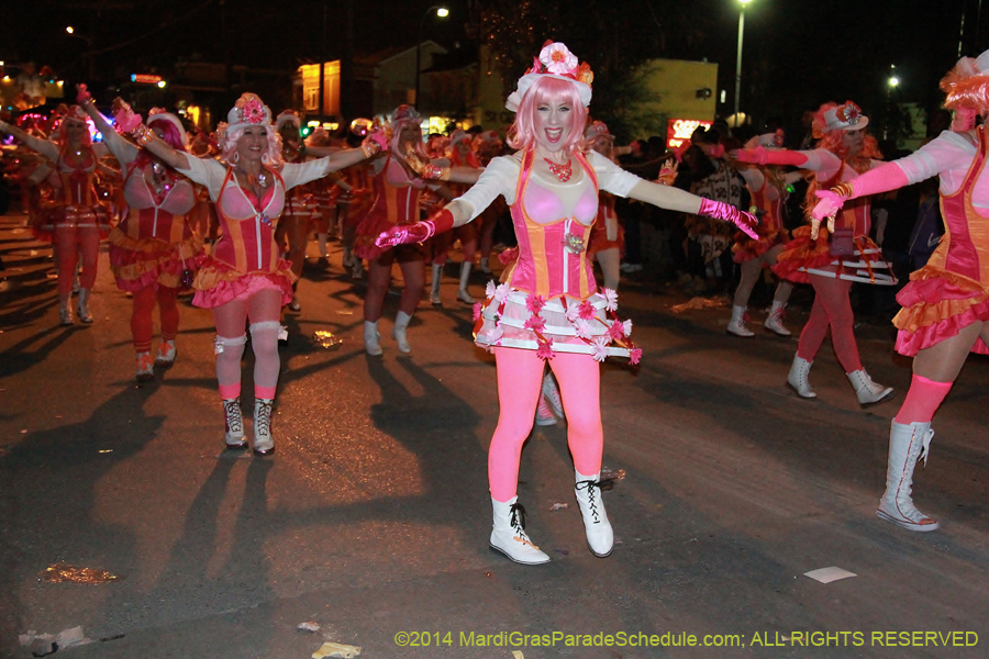 2014-Krewe-of-Muses11342