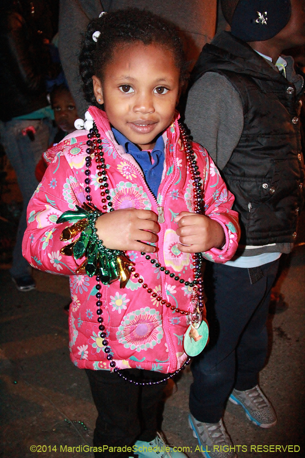 2014-Krewe-of-Muses11347