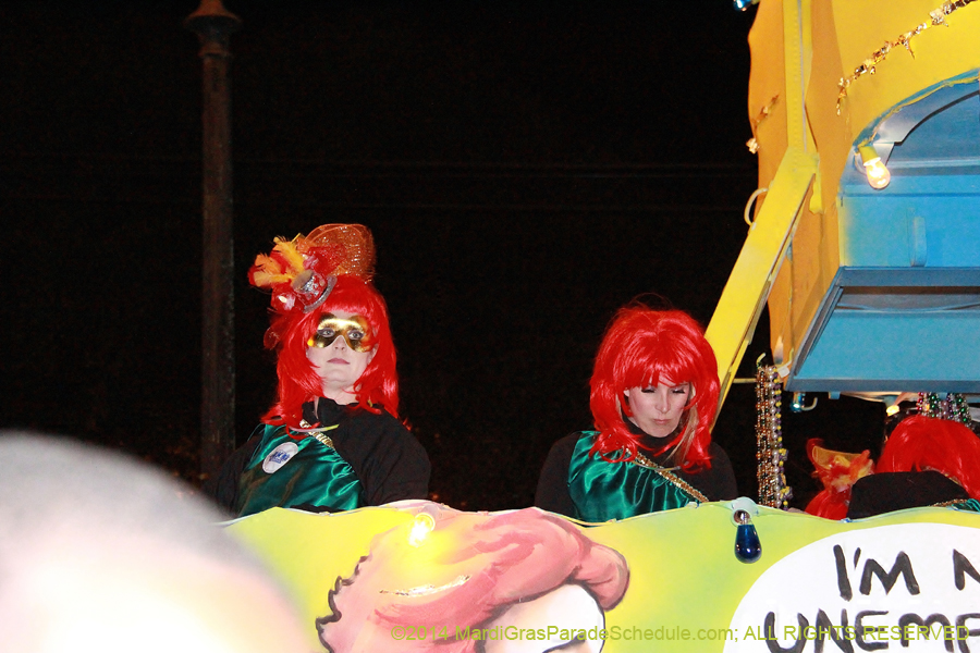 2014-Krewe-of-Muses11355