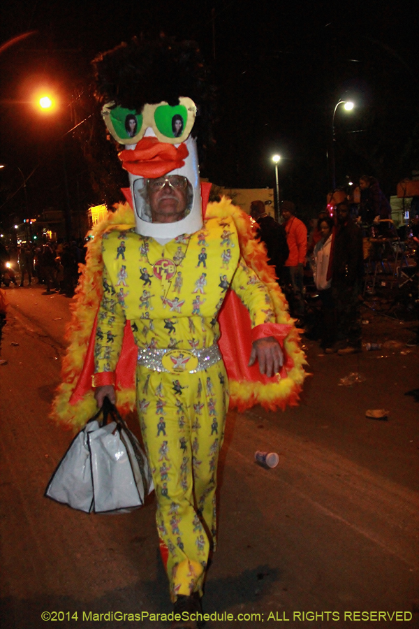 2014-Krewe-of-Muses11368