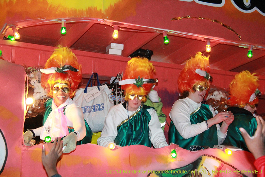 2014-Krewe-of-Muses11373