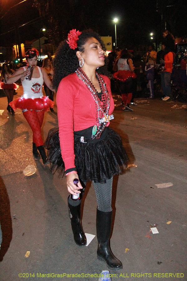 2014-Krewe-of-Muses11378