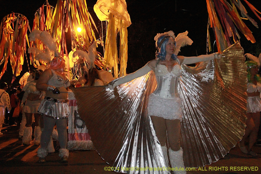 2014-Krewe-of-Muses11422