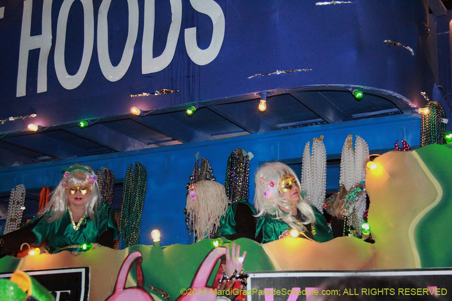 2014-Krewe-of-Muses11447