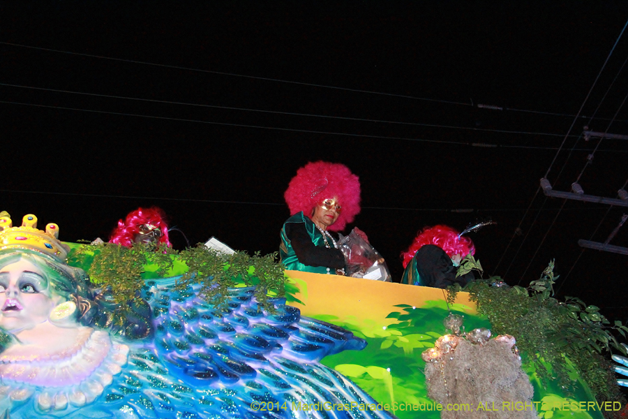 2014-Krewe-of-Muses11467