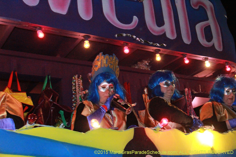 Krewe-of-Muses-2015-14357