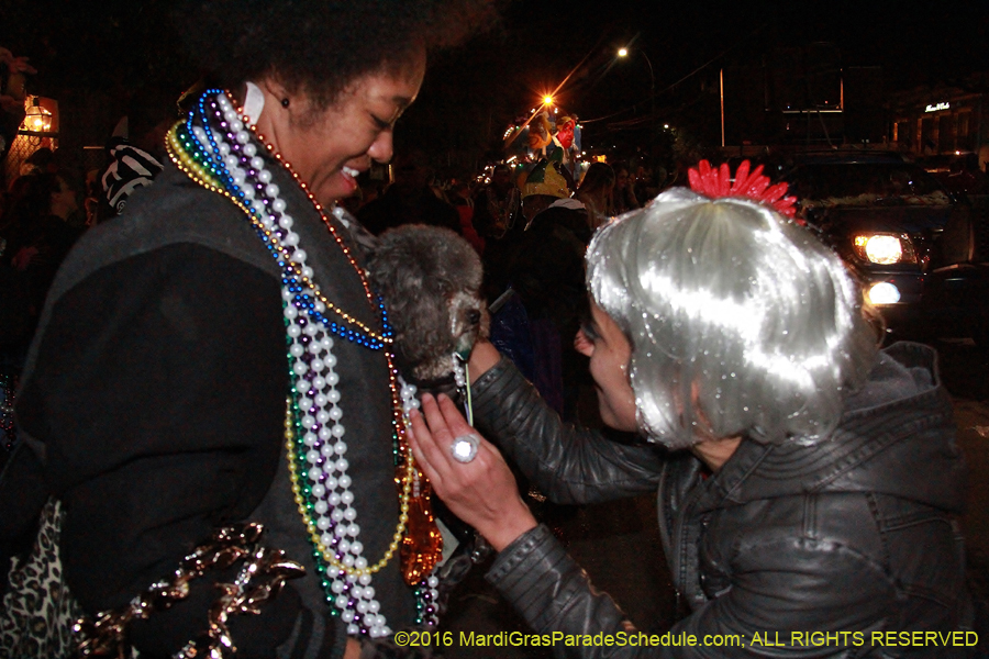 2016-Krewe-of-Muses-007892