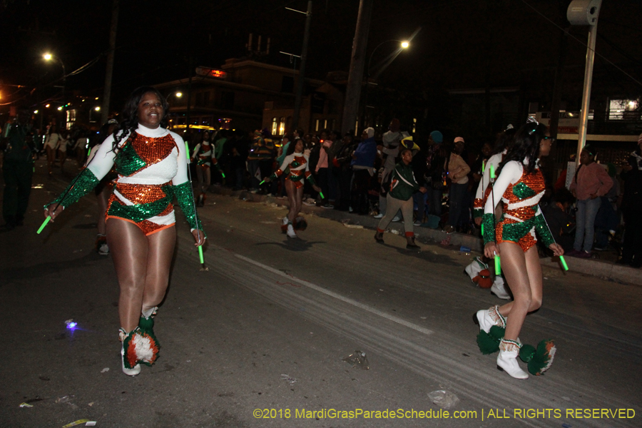 2018-Krewe-of-Muses00004430