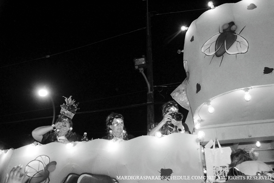 Krewe-of-Muses-00277-2022