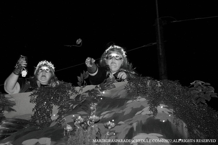 Krewe-of-Muses-00462-2022