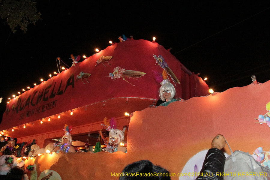 2024-Krewe-of-Muses-10875