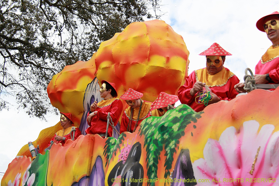 2014-Krewe-of-Okeanos-11198