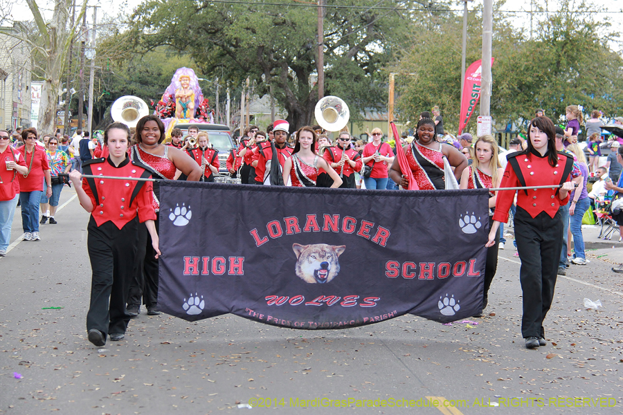 2014-Krewe-of-Okeanos-11243