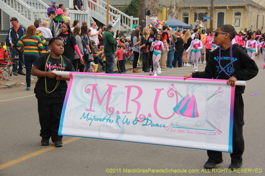 Krewe-of-Okeanos-2015-17792