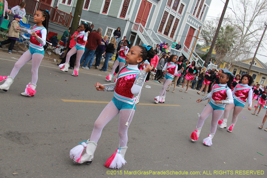 Krewe-of-Okeanos-2015-17793