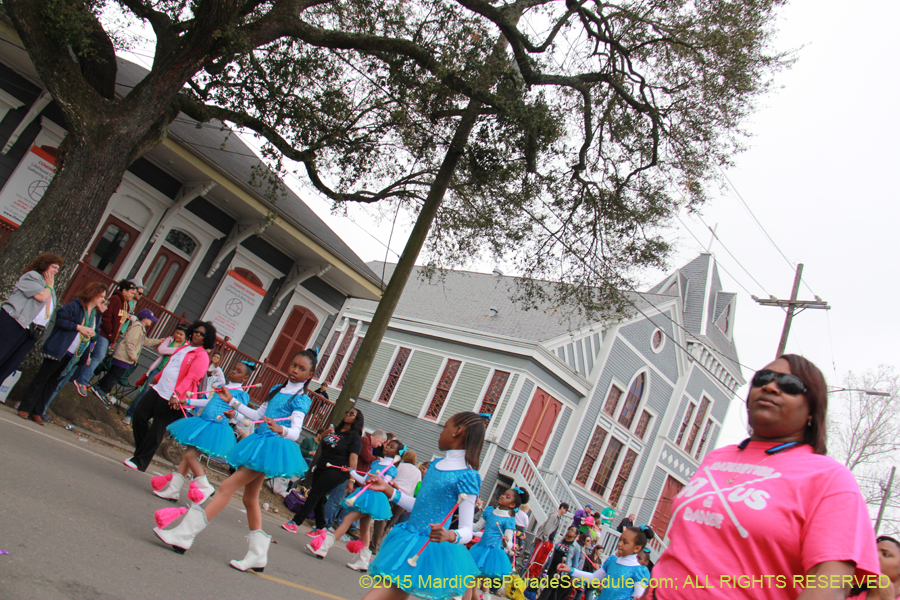 Krewe-of-Okeanos-2015-17797