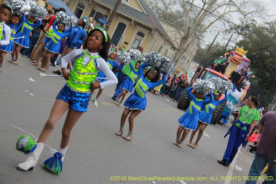 Krewe-of-Okeanos-2015-17805