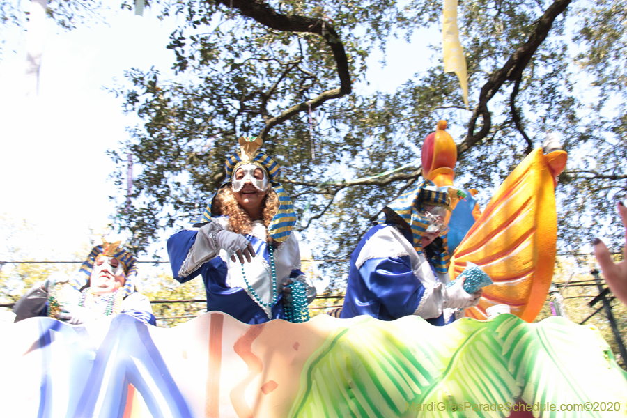 Krewe-of-Okeanos-2020-07577