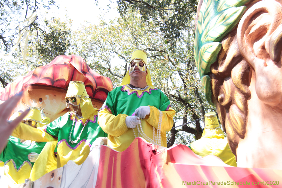 Krewe-of-Okeanos-2020-07600